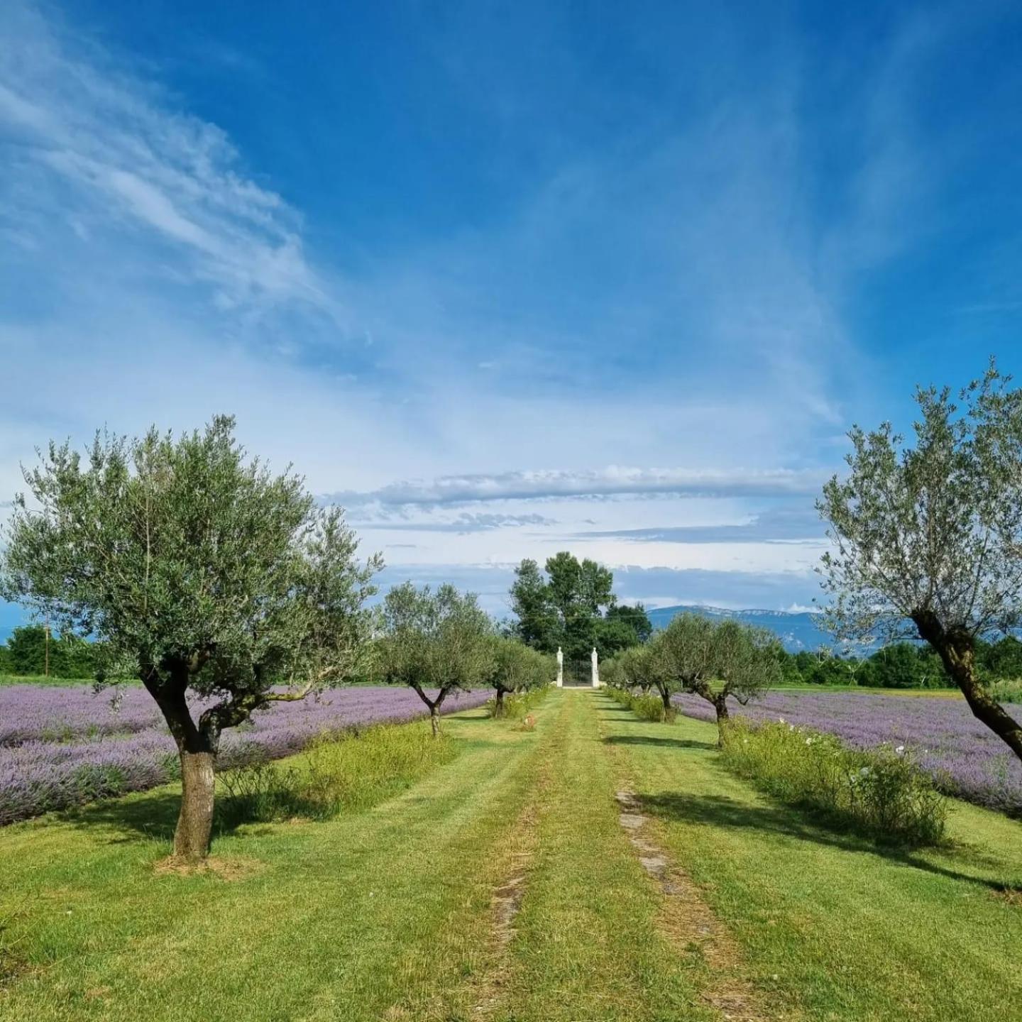 Domaine Des Balmes Villa Romans-sur-Isere Luaran gambar