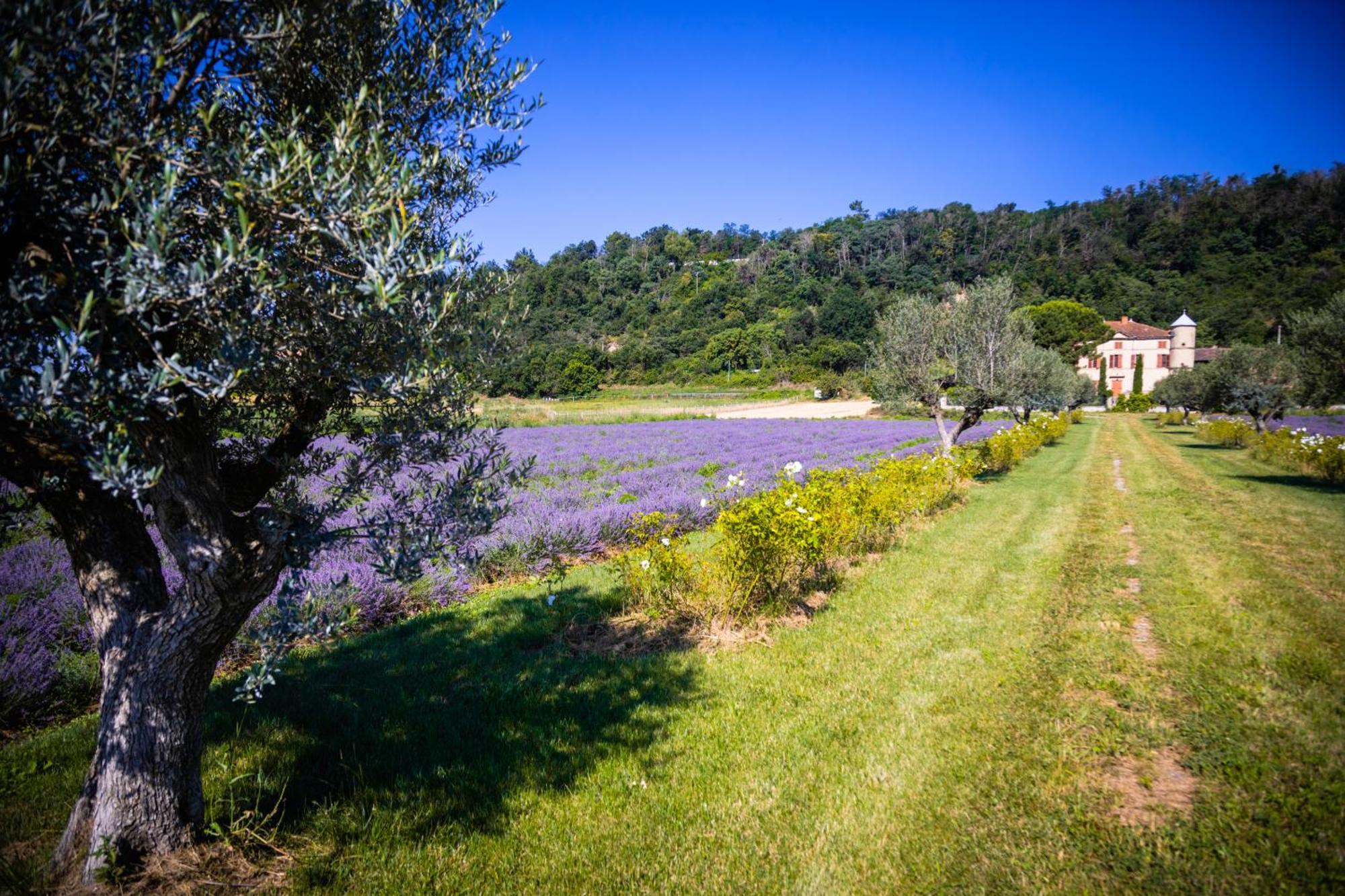 Domaine Des Balmes Villa Romans-sur-Isere Luaran gambar